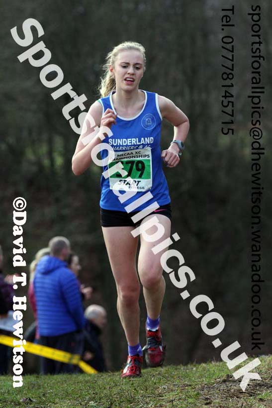 Womens under-17s and 20s North Eastern Cross Country, Aykley Heads, Durham. Photo: David T. Hewitson/Sports for All Pics
